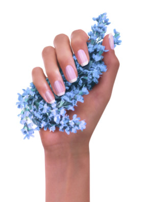 Hand Lavendel Hand Lavendel