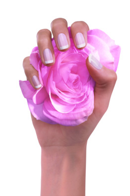 Hand Rose Hand Rose